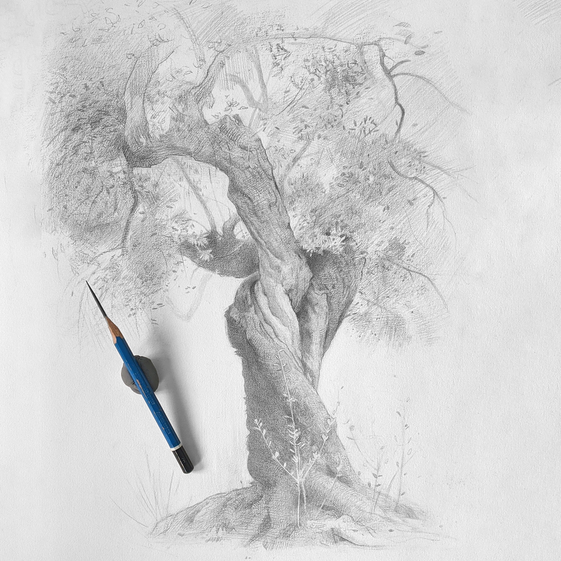 Proko The Shading Course Fundamentals Of Realism Light U0026 Shadow