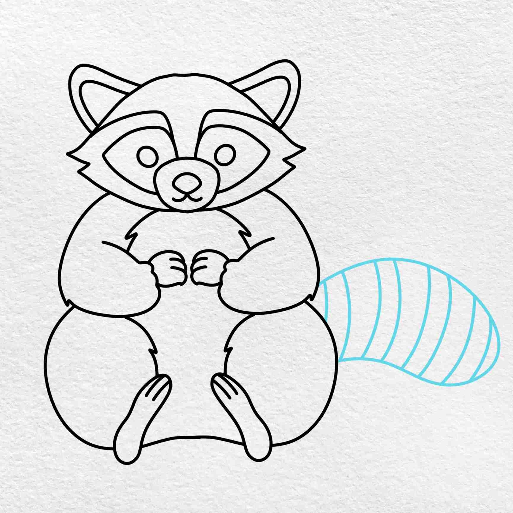 drawing of racoon