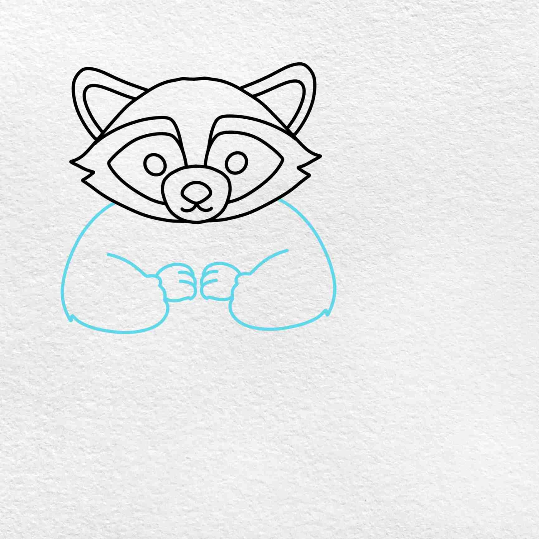 raccoon drawing easy