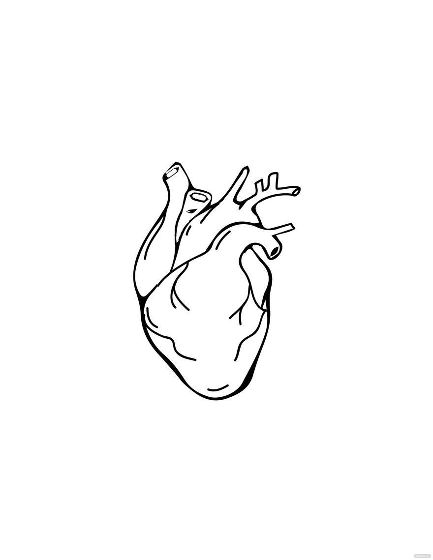 heart realistic drawing