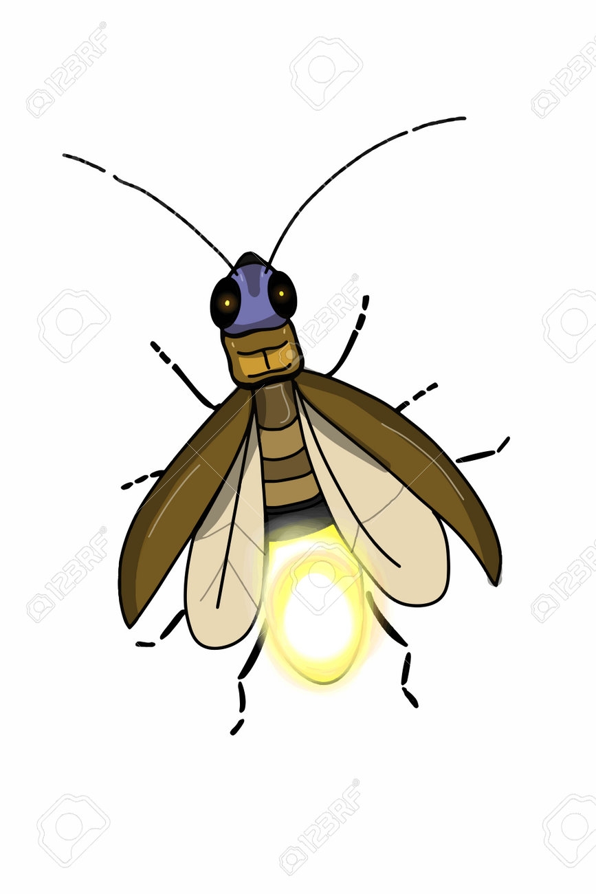 Realistic Cartoon Firefly stella Illustration Drawing Royalty Free SVG Cliparts Vectors And Stock Illustration Image 187306675 