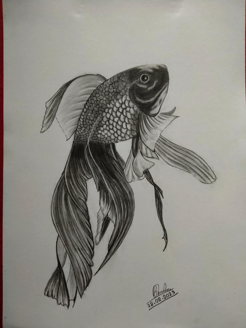 drawing of a fish