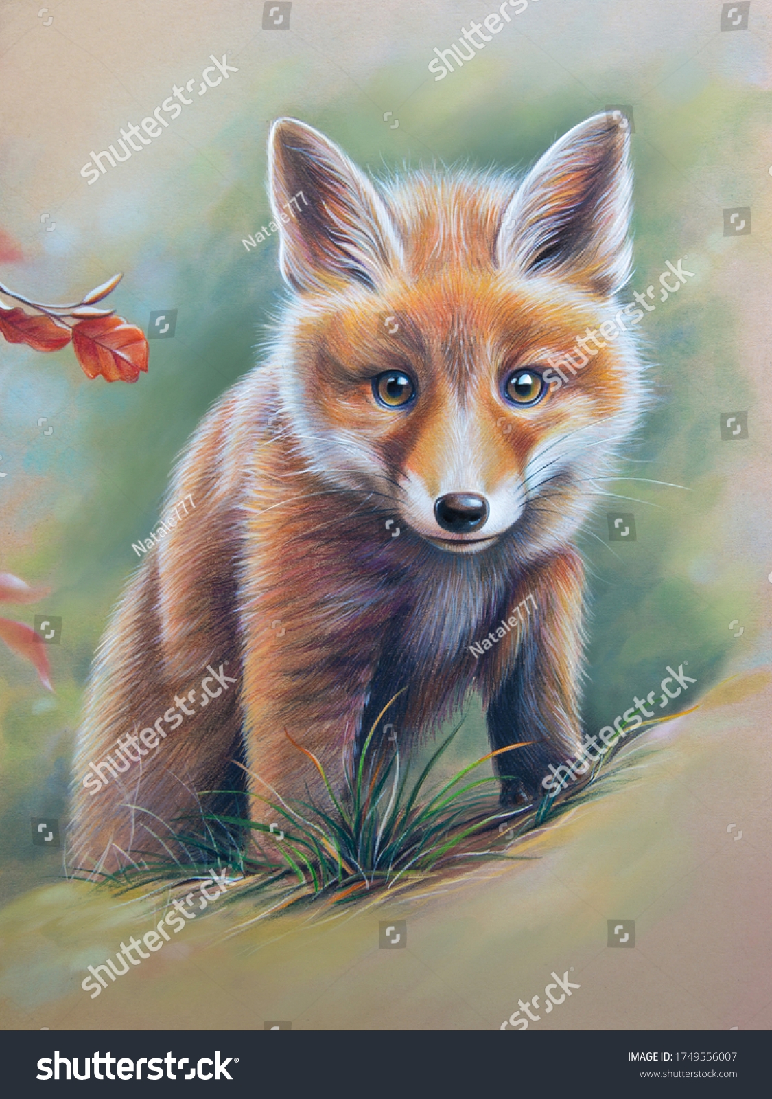 red fox drawing