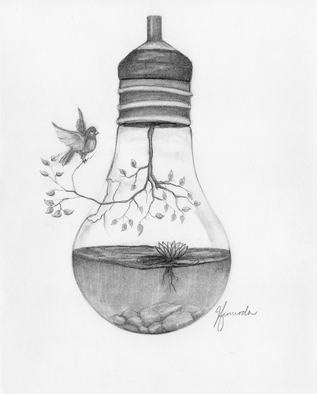 drawing images