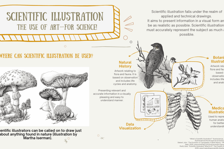 Scientific Illustration Jordan Swain