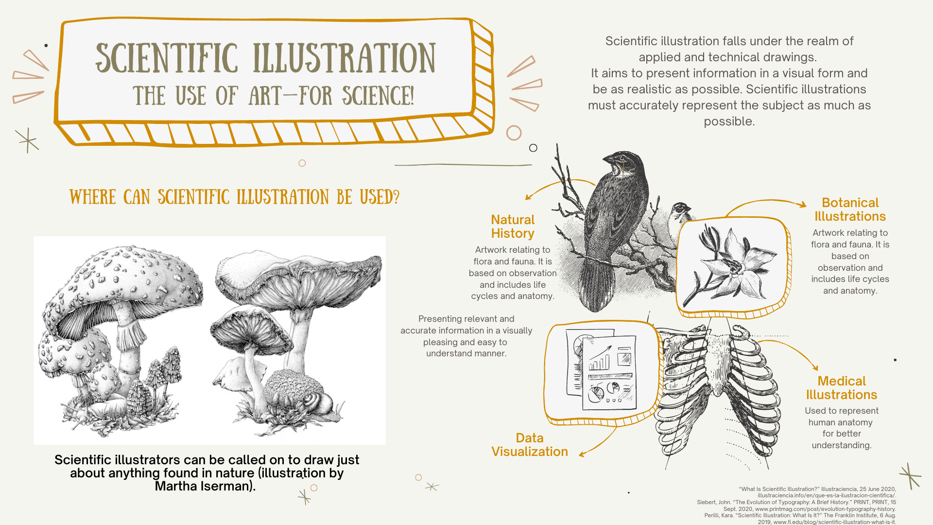 Scientific Illustration Jordan Swain