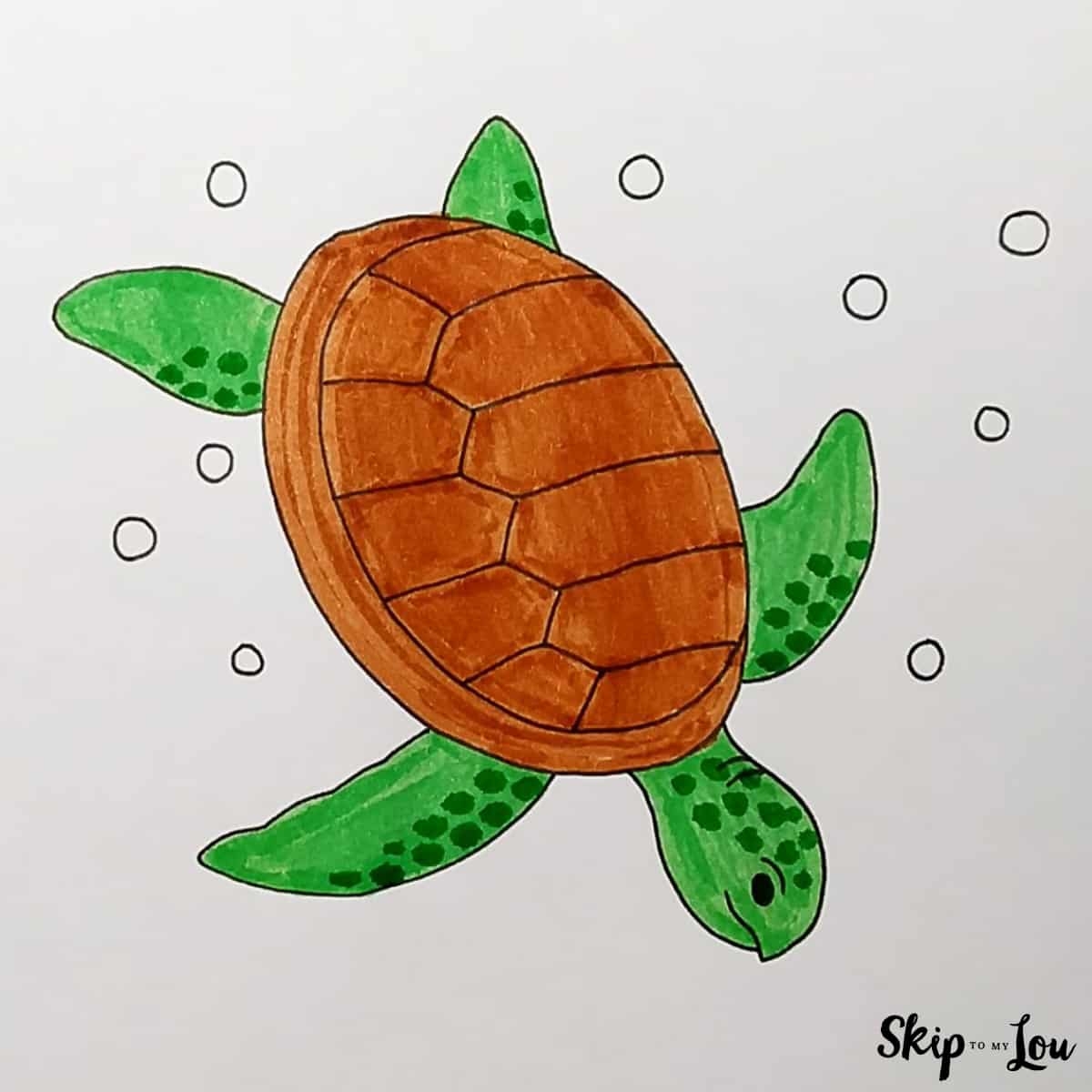 drawing of turtle