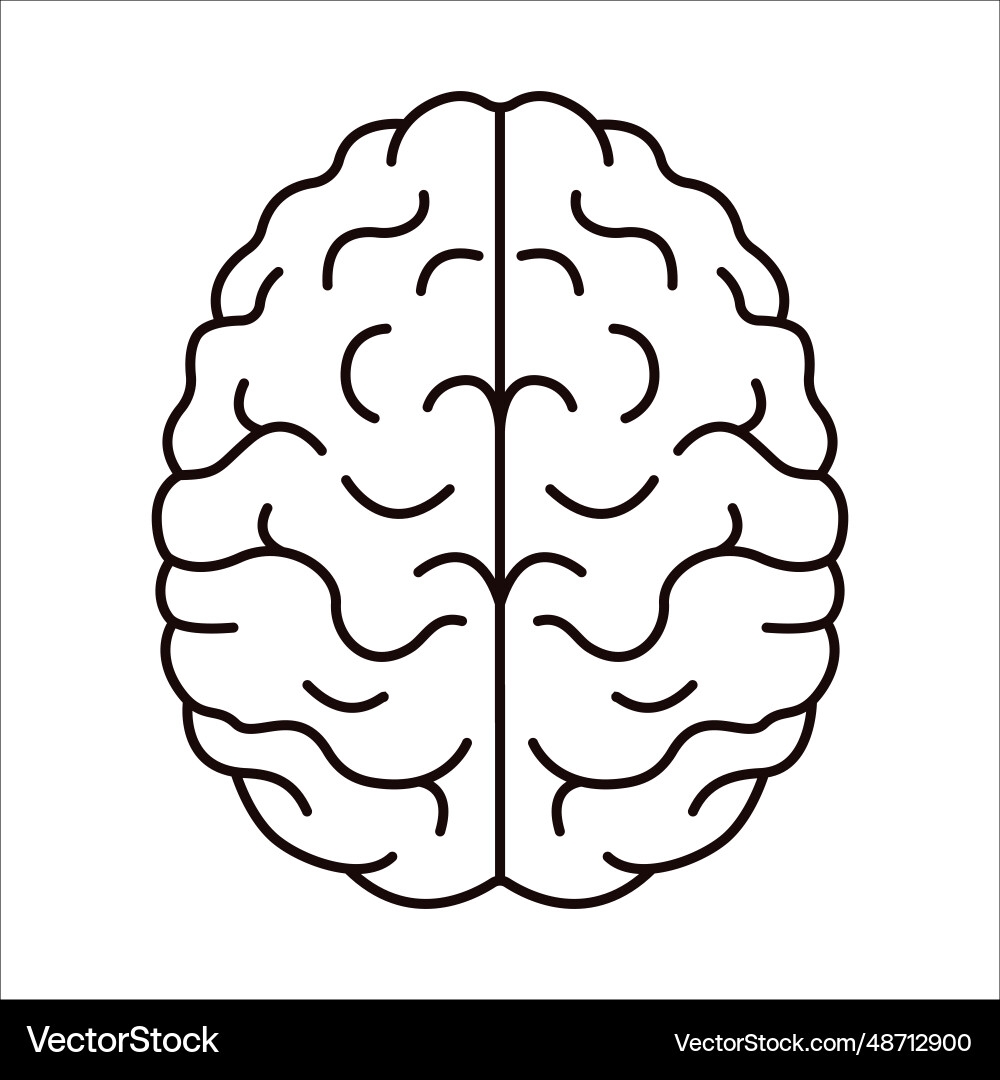 Simple Drawing Of A Brain Icon Design Outline Vector Image