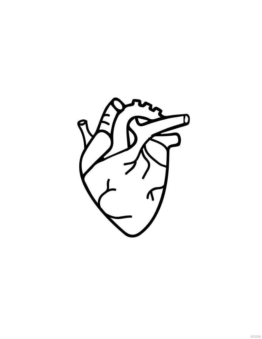 Simple Human Heart Drawing In PDF Illustrator JPG EPS SVG PNG Download Template