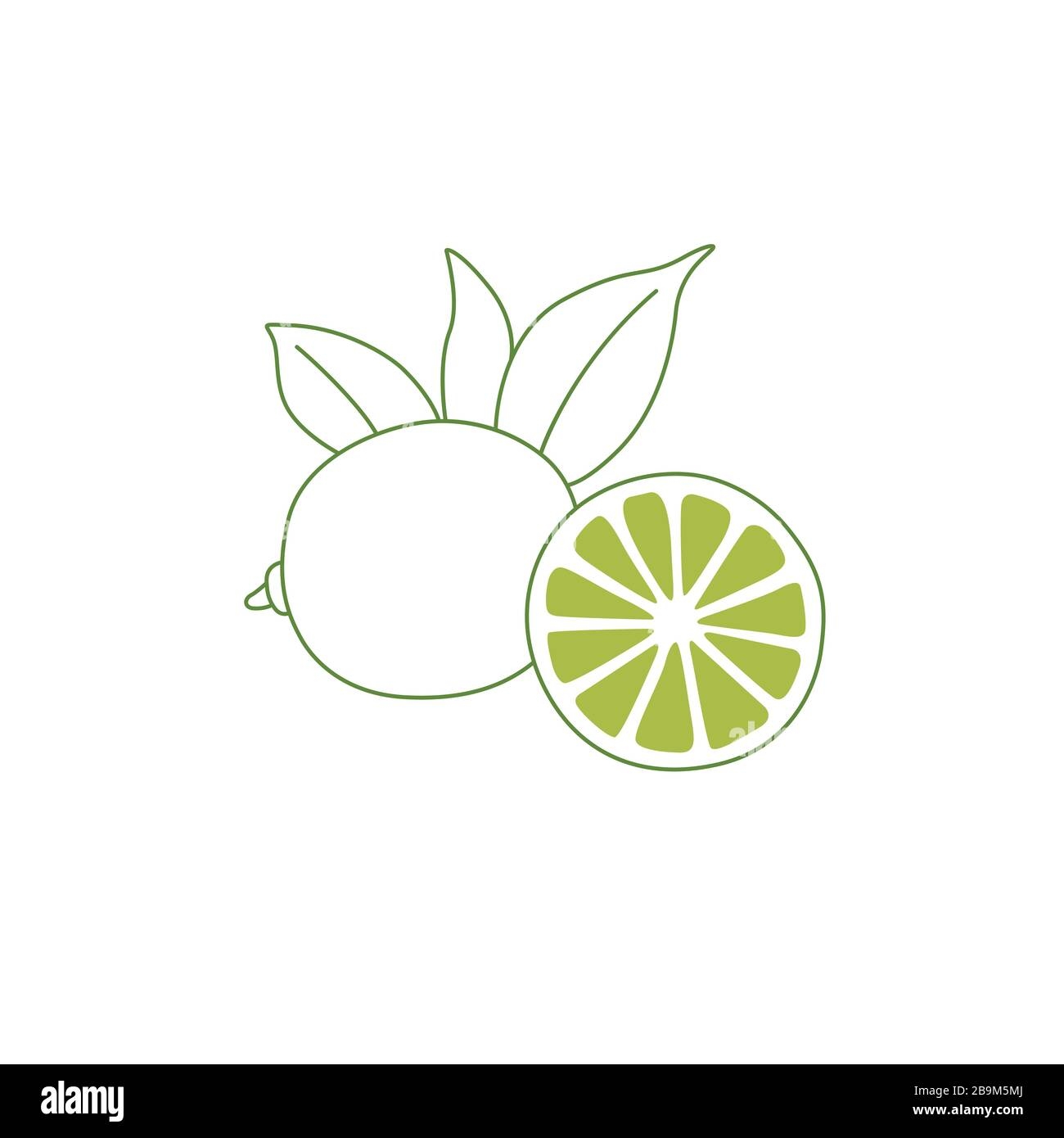 Simple Lime Line Vector Drawing On White Citrus Logo Icon Design 
