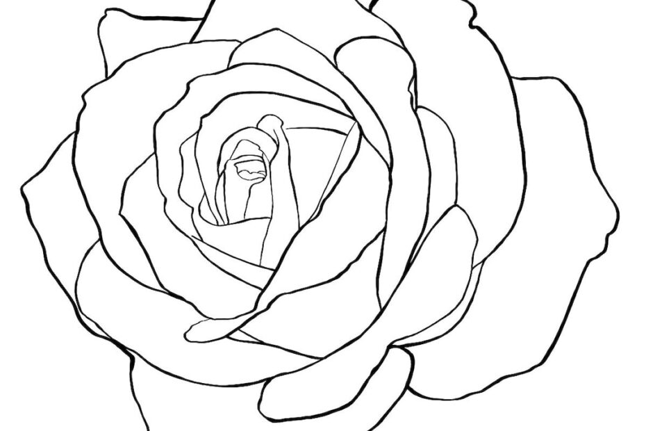 Simple Rose Black Rose Line outline vector art cut circut File circut Cut download sticker tattoo design jpeg png svg clipart Etsy