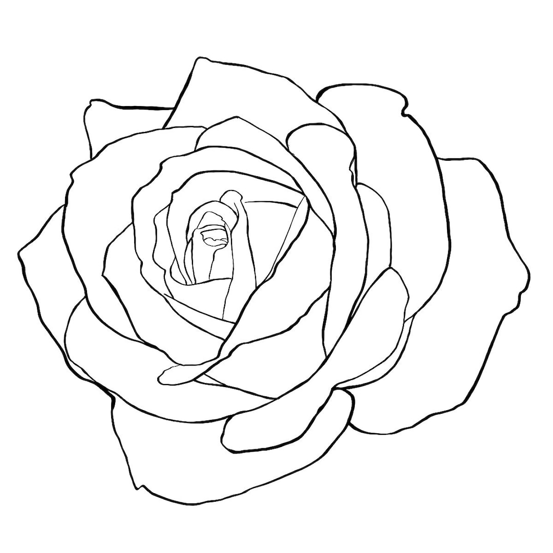 Simple Rose Black Rose Line outline vector art cut circut File circut Cut download sticker tattoo design jpeg png svg clipart Etsy