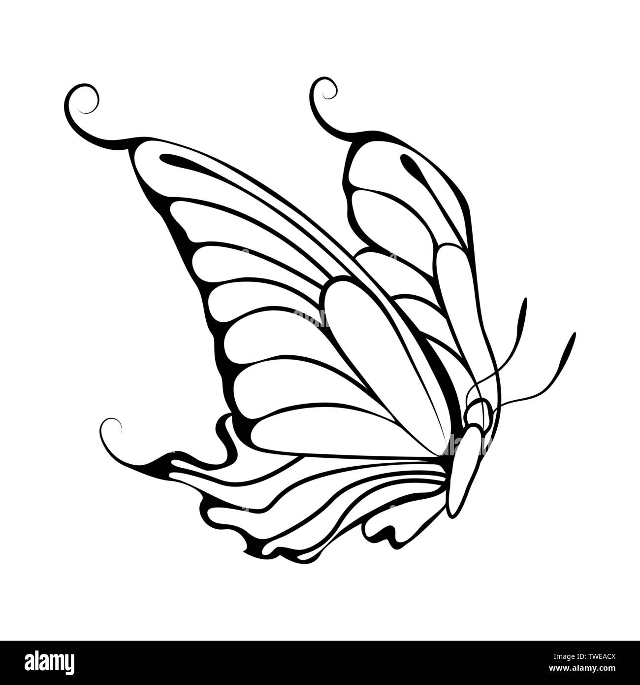 Sketch Of Butterfly Outline Design Vector Illustration Stock Vector Image U0026 Art Alamy