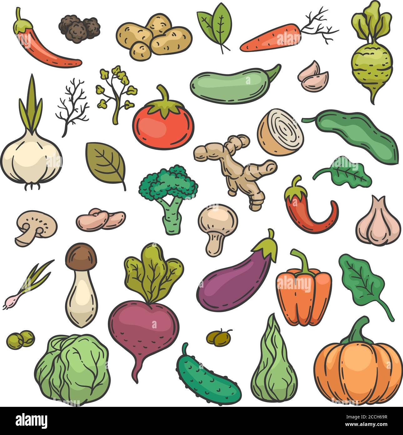Sketch Vegetables Hand Drawn Color Vegetable Veggie Product 