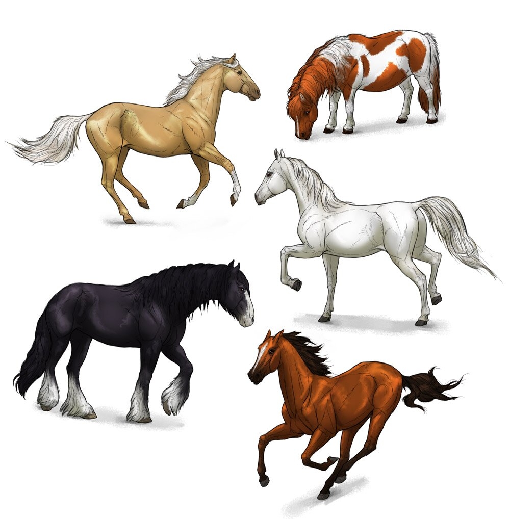 how to draw a horse easy