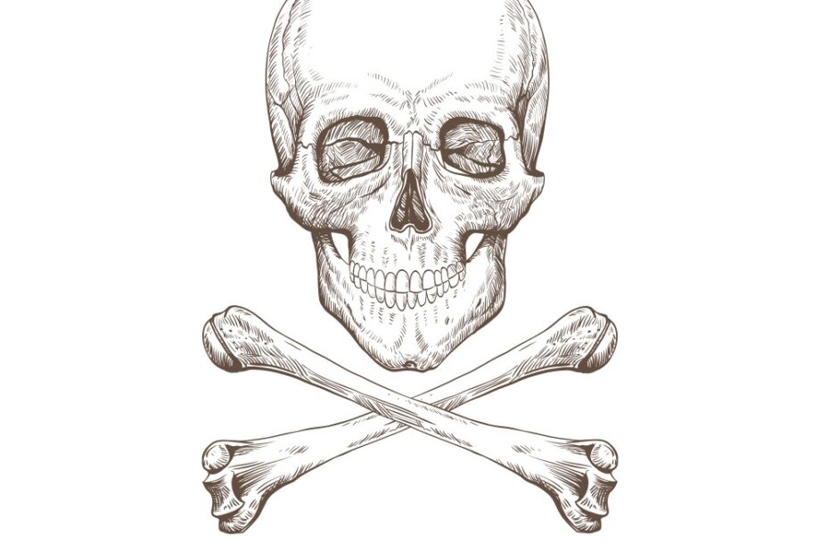 Skull And Bones Drawing Royalty Free Vector Image