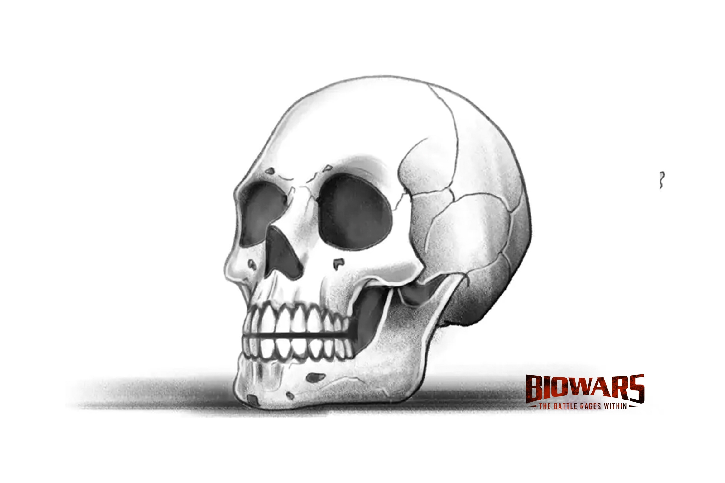 Skull Drawing Guide In 5 Easy Steps Video Images 