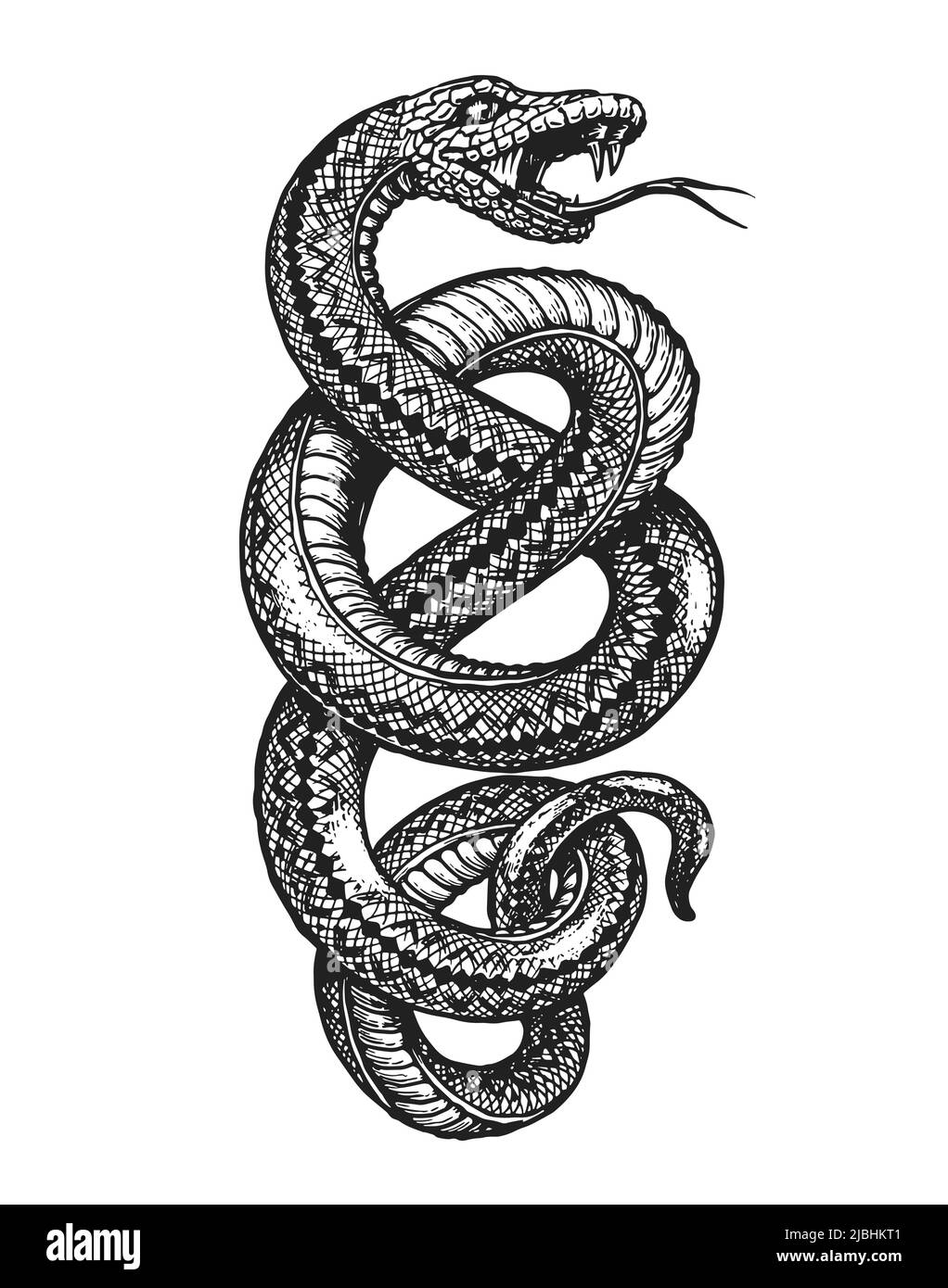 Snake Drawing Black And White Stock Photos U0026 Images Alamy