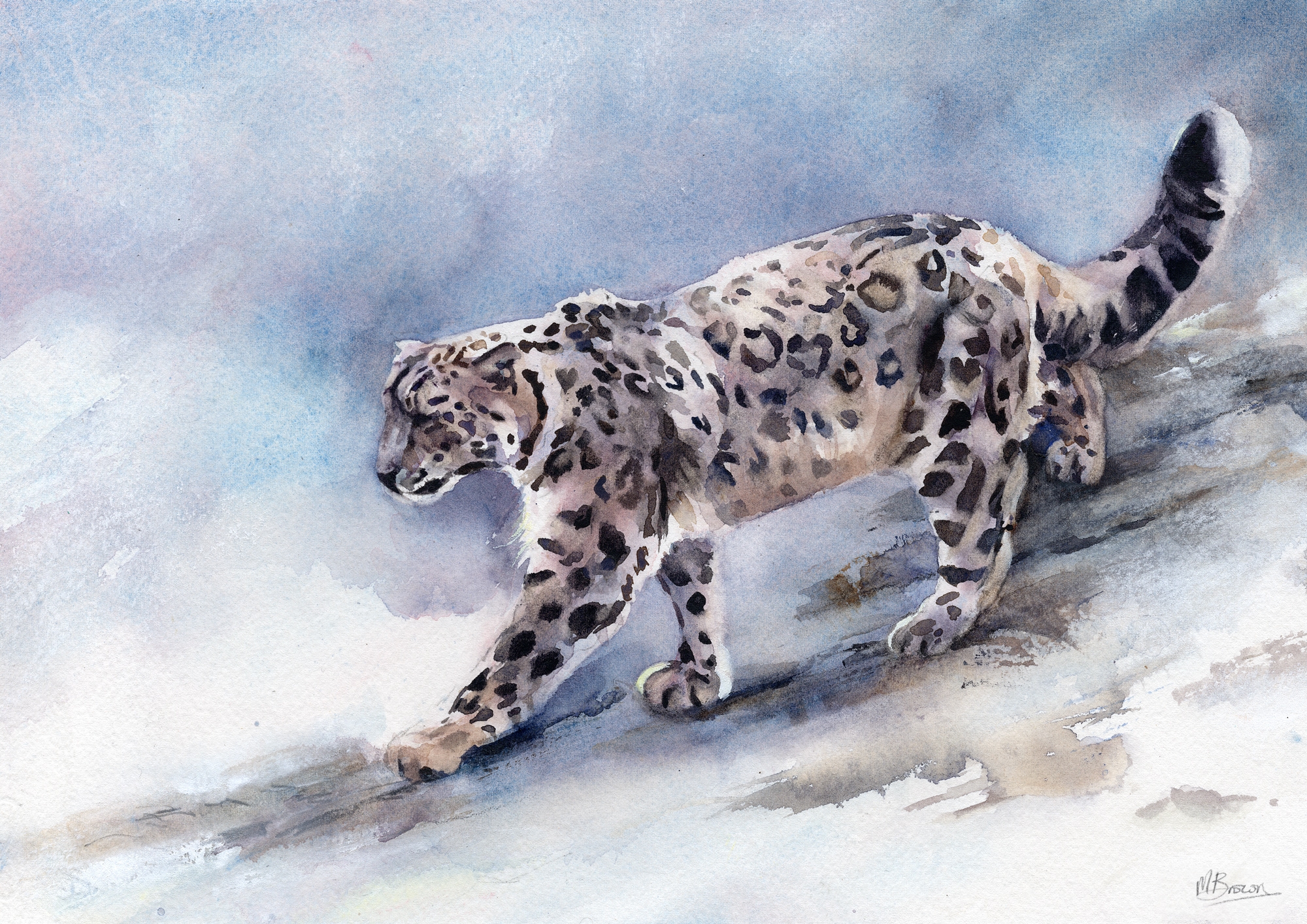 Snow Leopard Watercolour Print