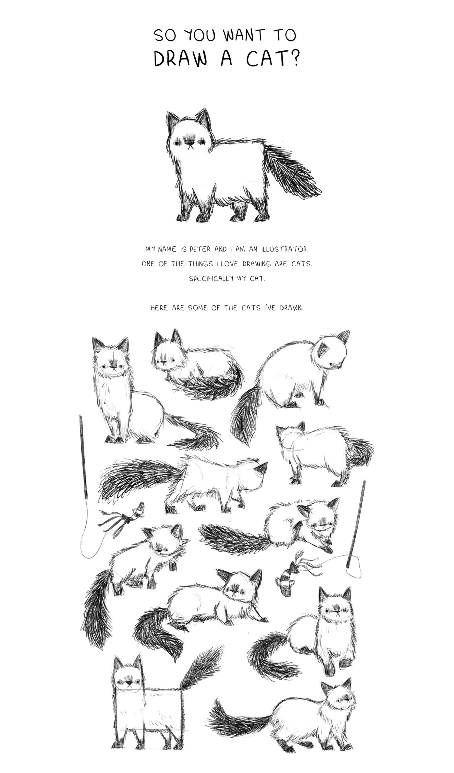 So You Want To Draw A Cat Peter Cheong