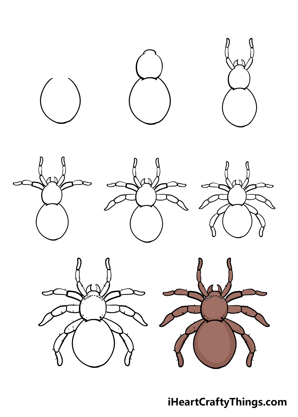 Spider Drawing How To Draw A Spider Step By Step