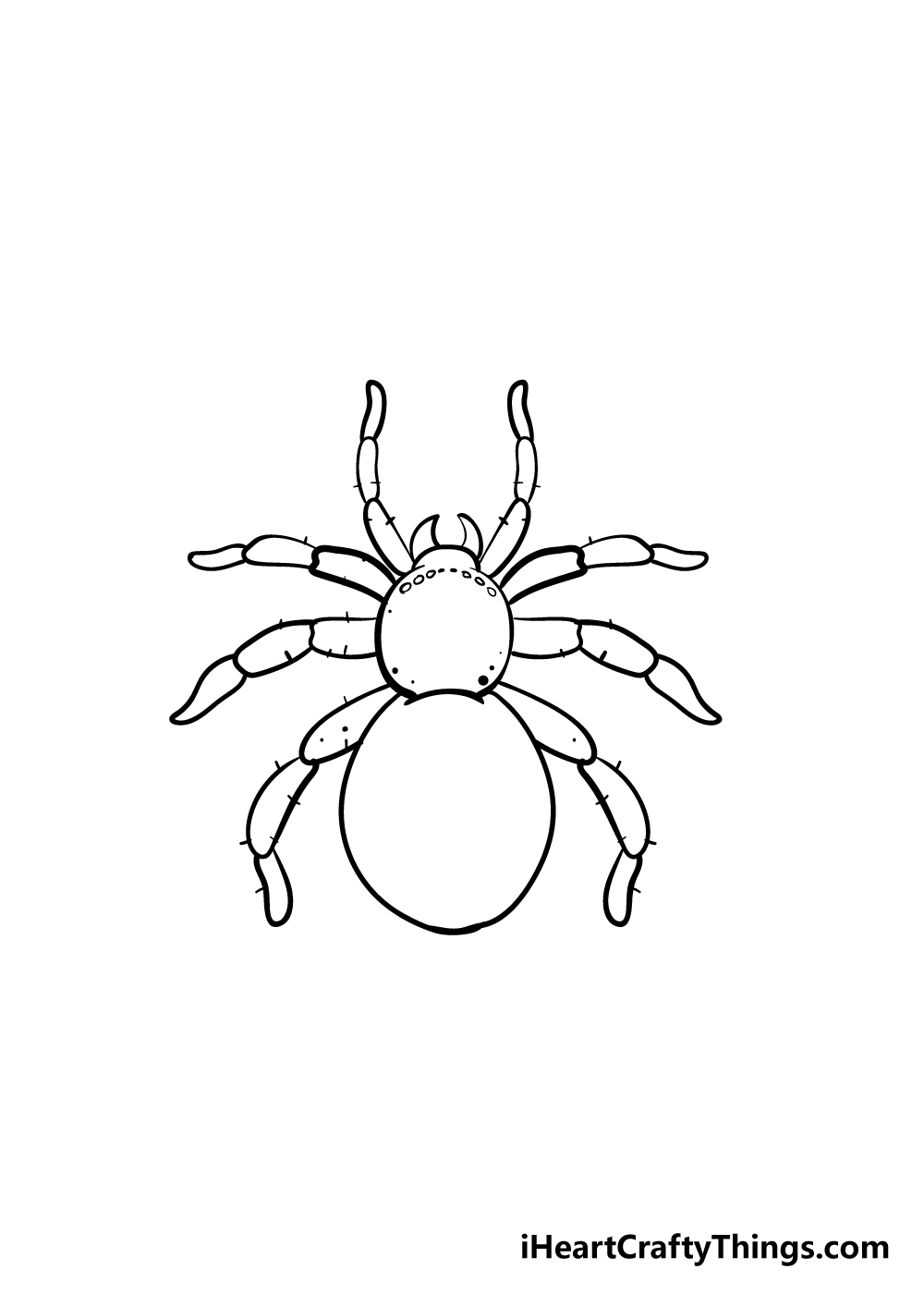 Spider Drawing How To Draw A Spider Step By Step