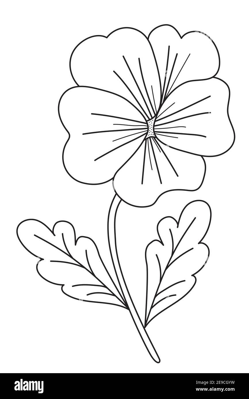 violet drawing