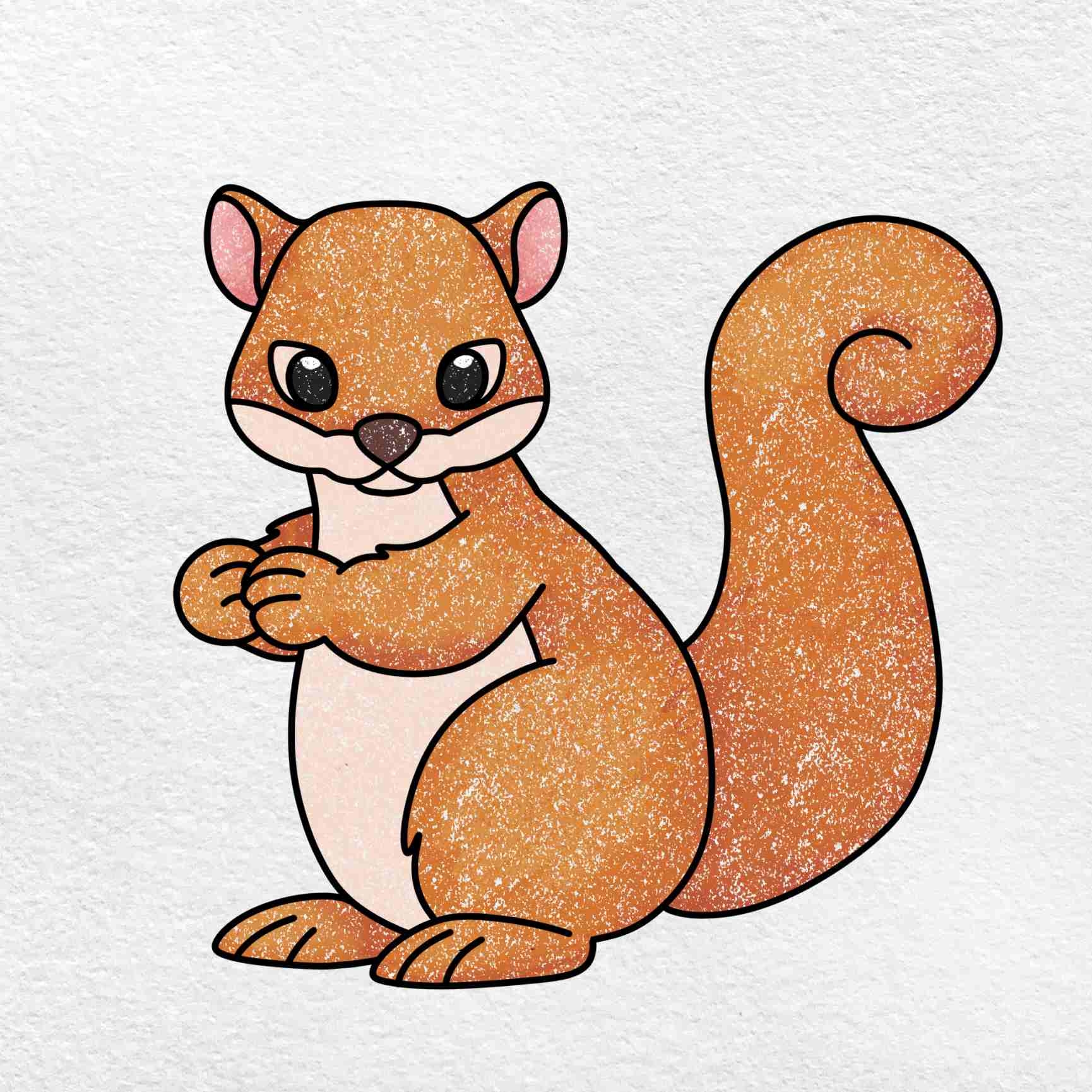 Squirrel Drawing For Kids HelloArtsy