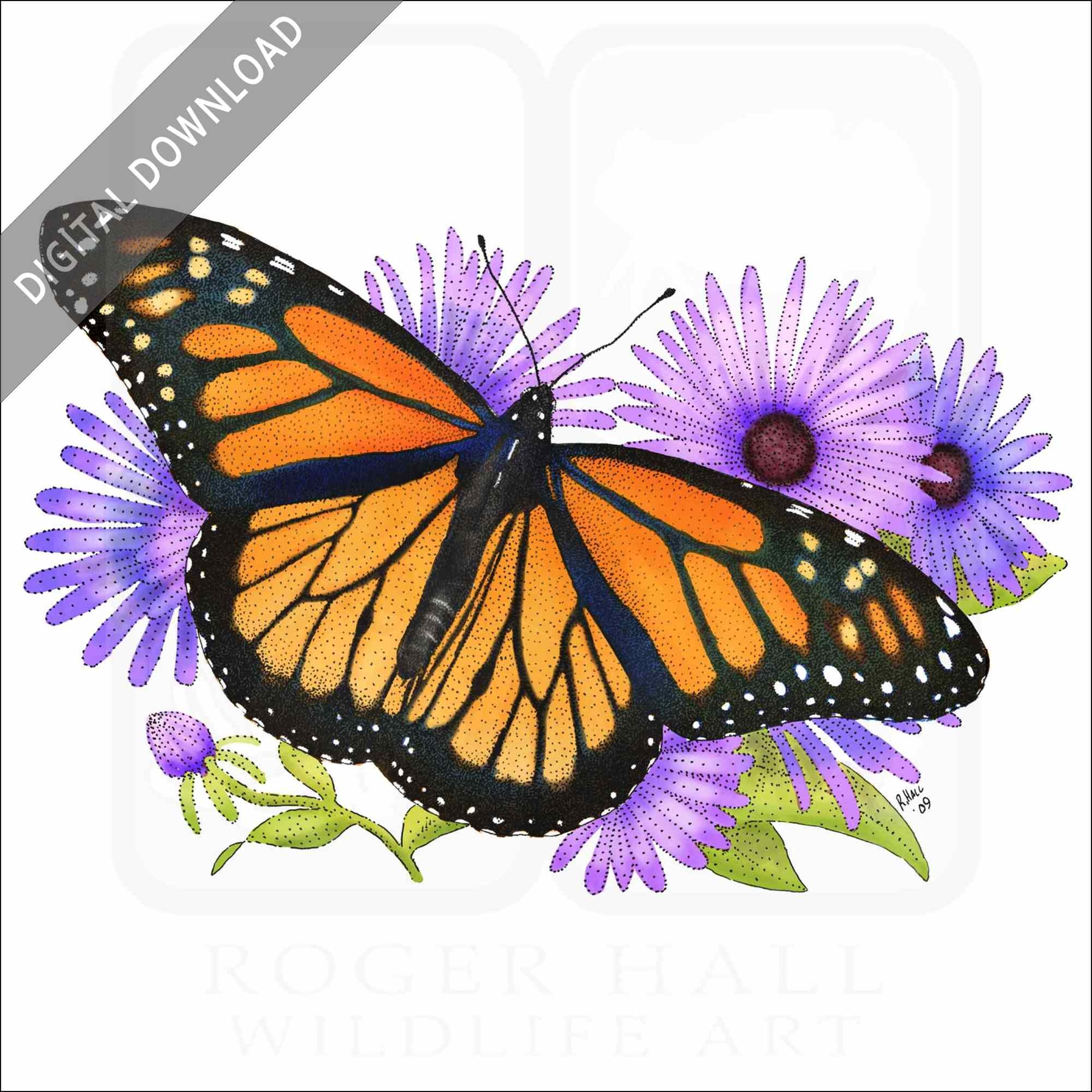Stock Art Drawing Of A Monarch Butterfly Inkart