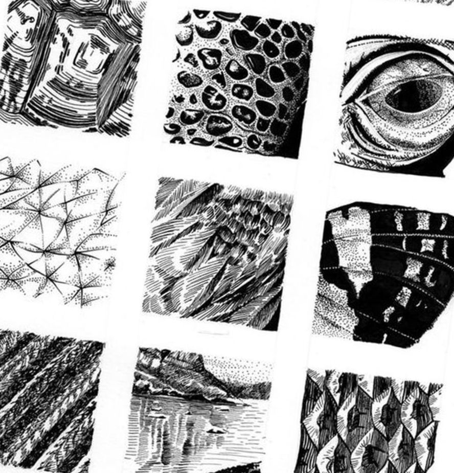 TEXTURE Visual Arts Enrichment With H L Groenstein