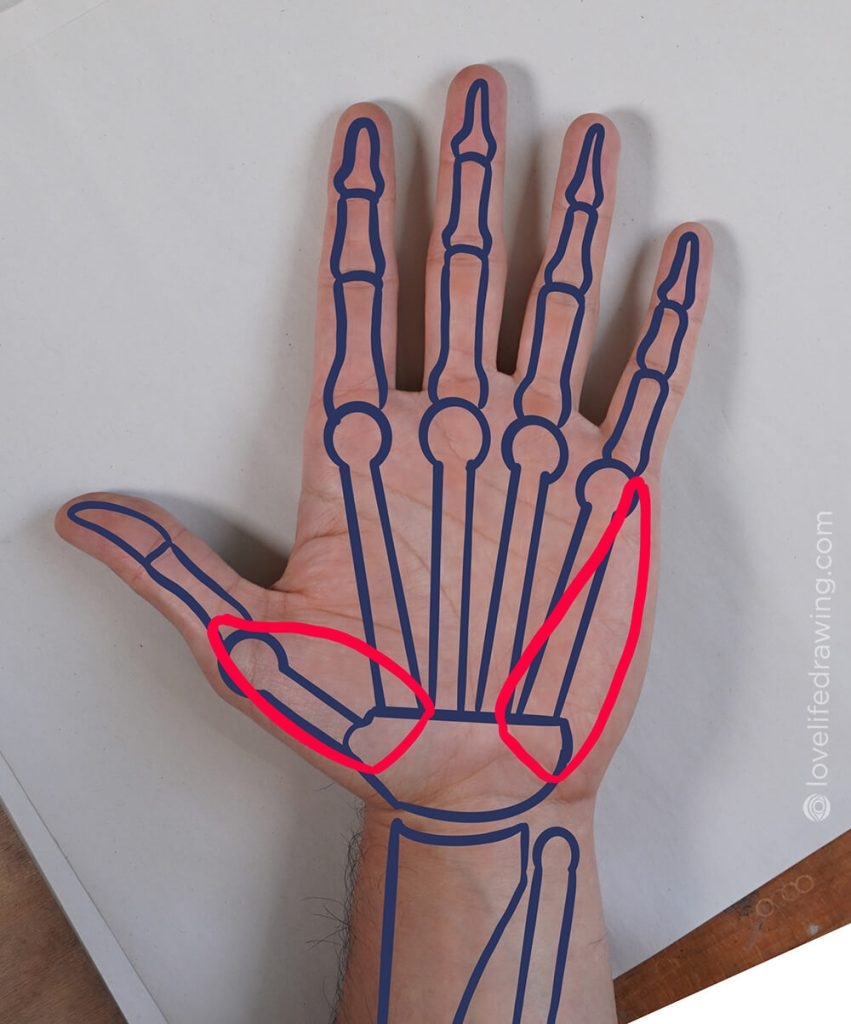 The Bread Slice Technique For Drawing Hands Love Life Drawing