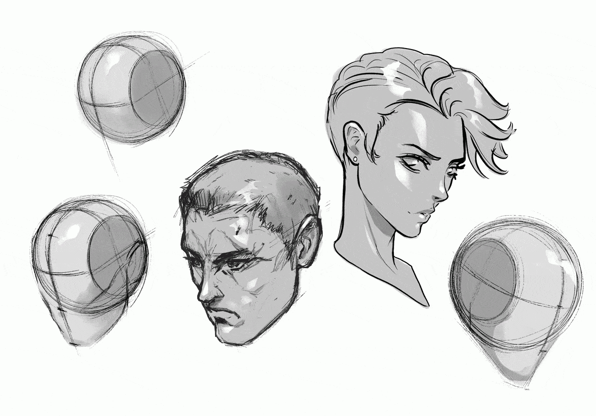 The Loomis Method Of Drawing The Head A Step by Step Guide GVAAT S WORKSHOP