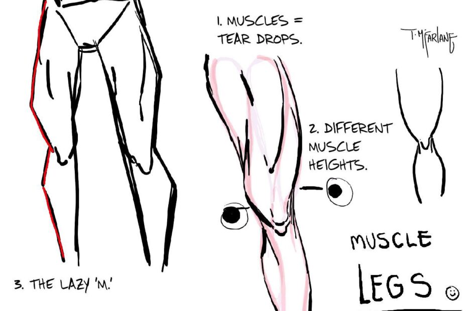 Todd s Tips For Drawing Muscular Legs