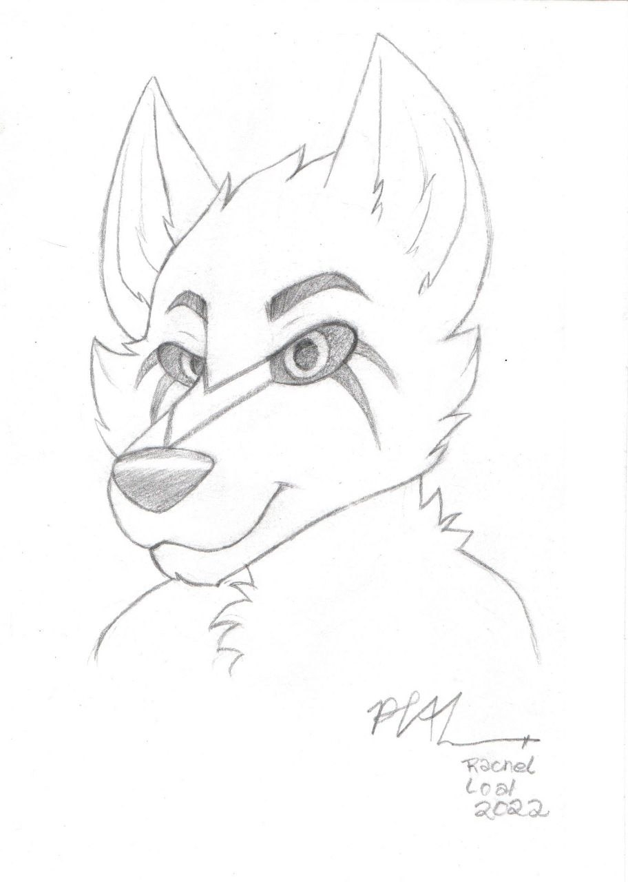 furry drawings