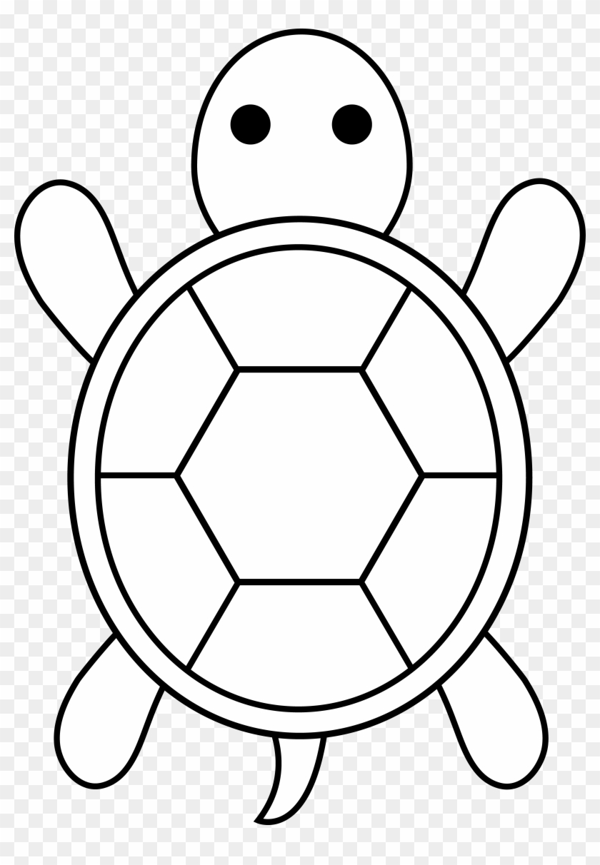 turtle drawing