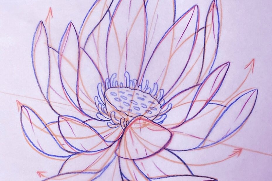 Tutorial How To Draw A Lotus Flower