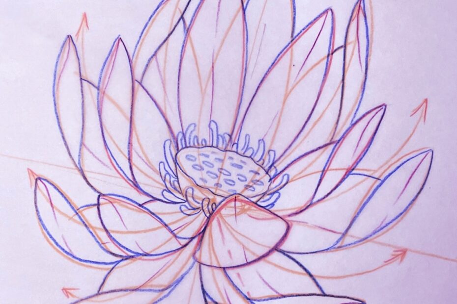 Tutorial How To Draw A Lotus Flower