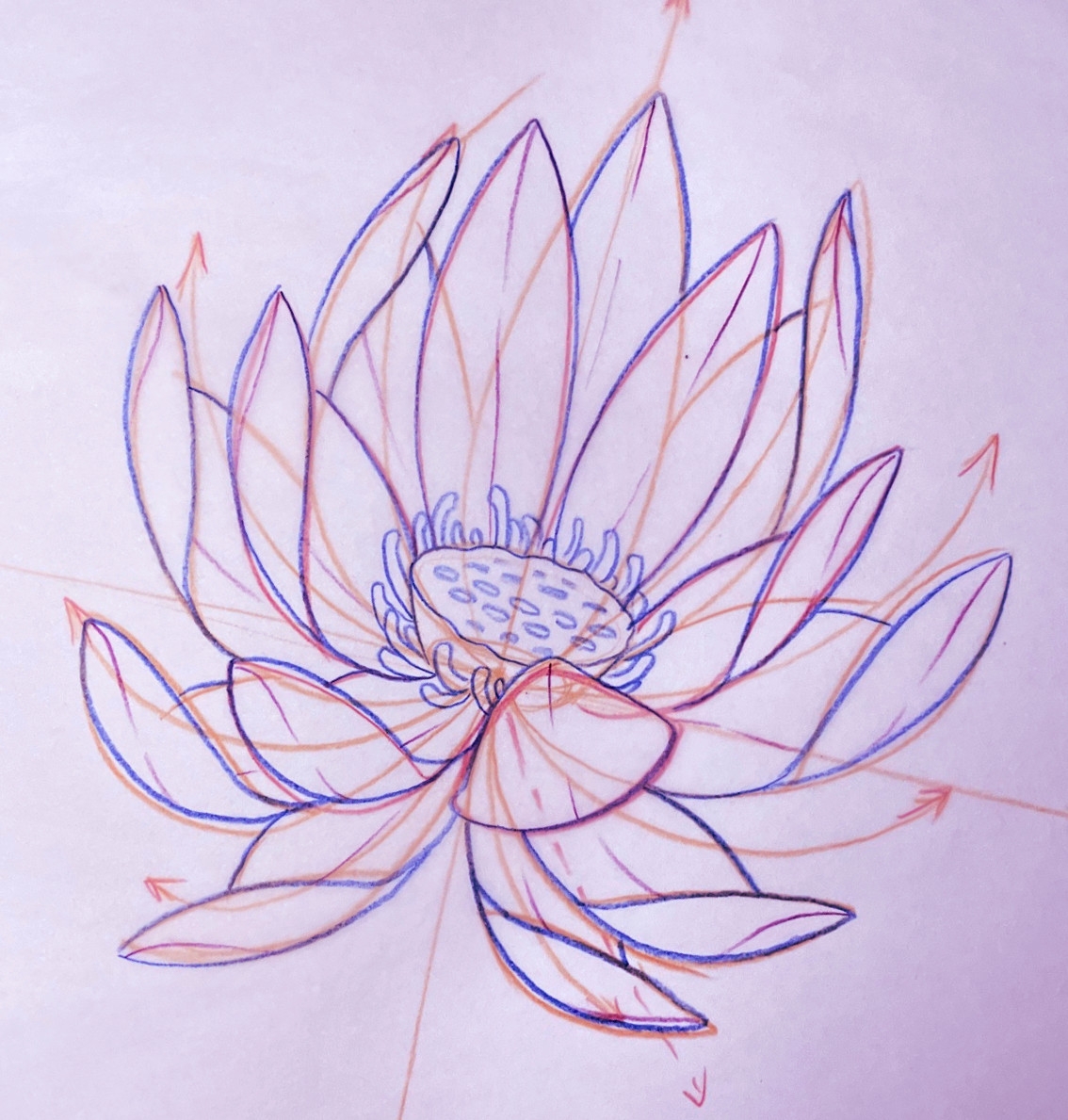 Tutorial How To Draw A Lotus Flower