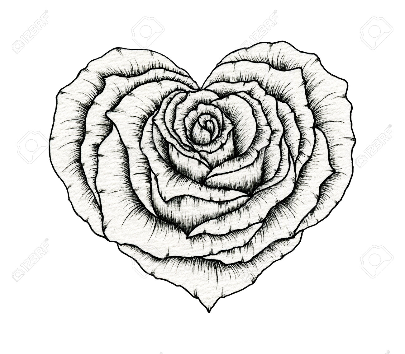rose heart drawing