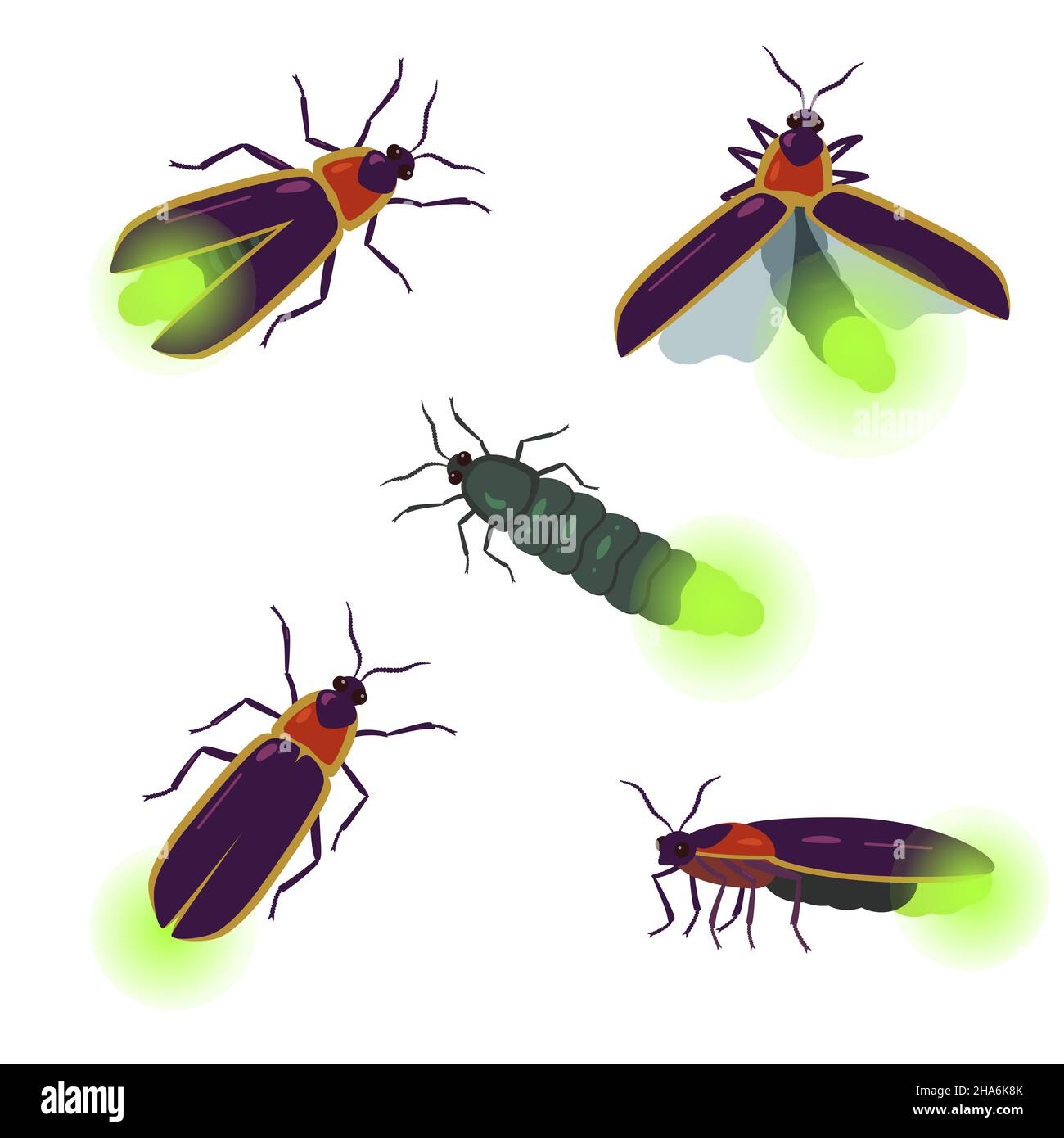 firefly drawing