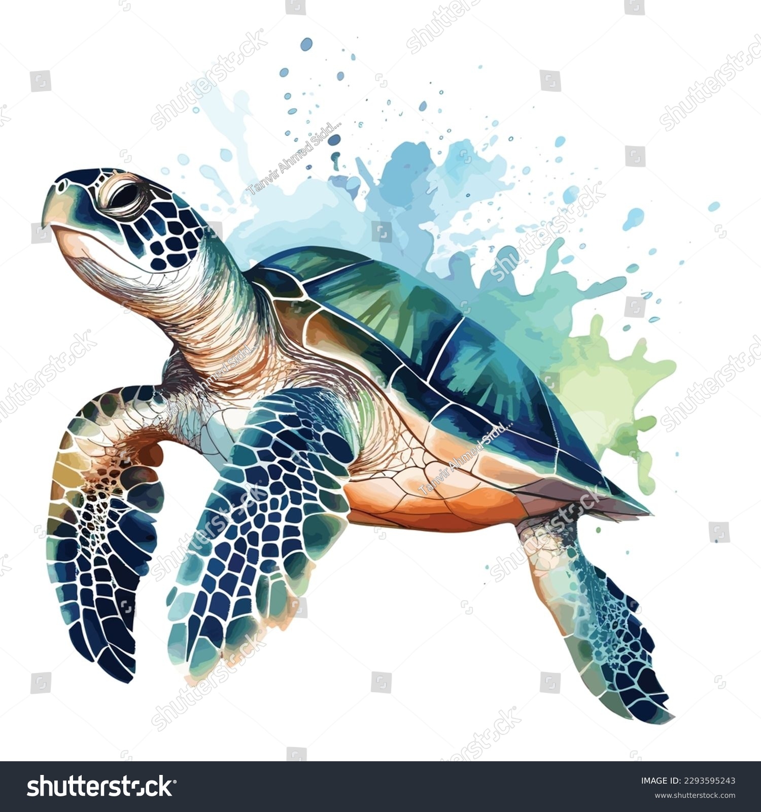 Vektor Stok Sea Turtle Realistic Artistic Colored Drawing Tanpa Royalti 2293595243 Shutterstock