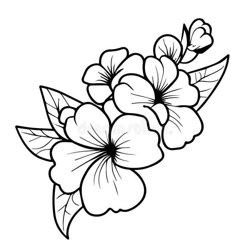 Violet Birth Flower Line Drawing Stock Illustrations 150 Violet 