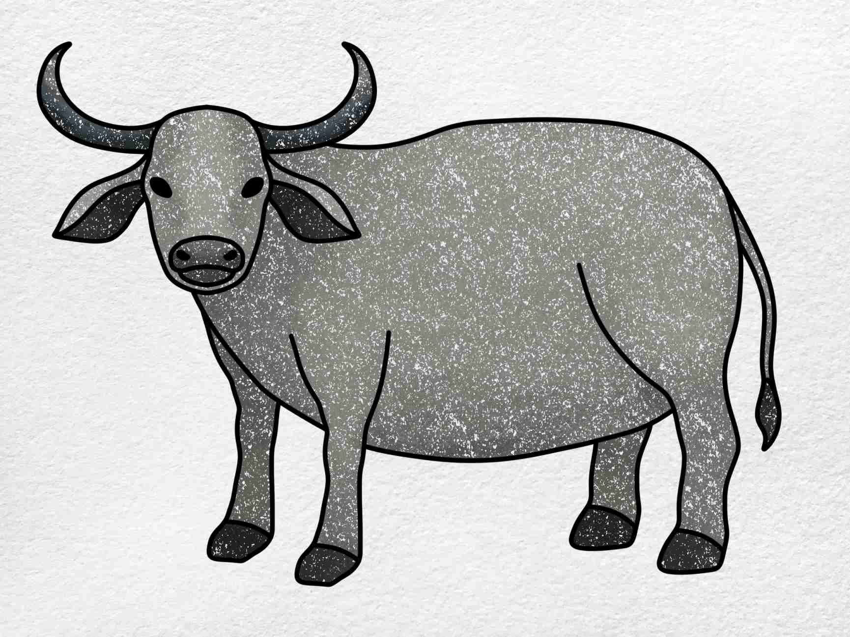 Water Buffalo Drawing HelloArtsy