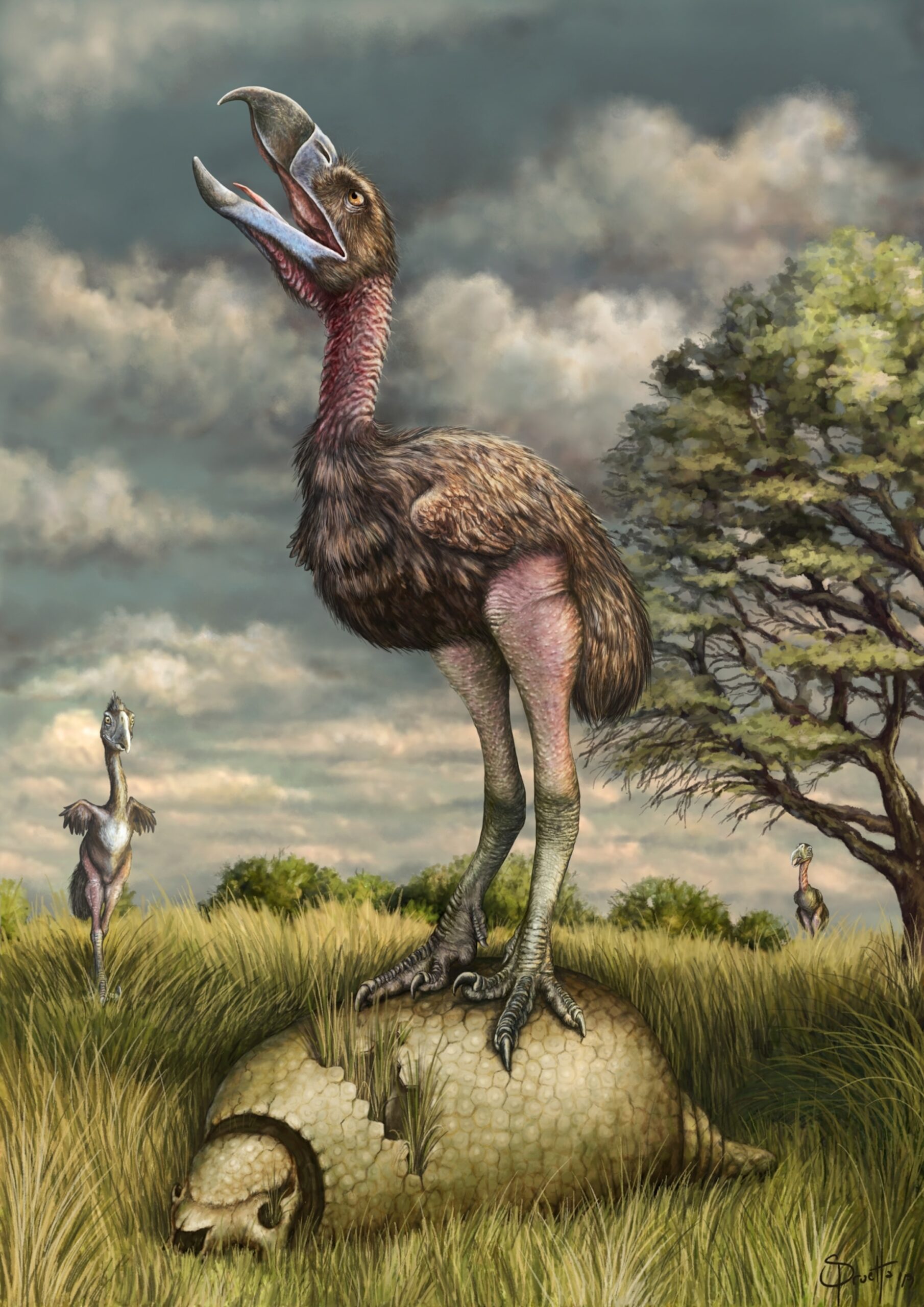 What Made terror Birds So Terrifying New Fossil Prints Reveal Killer Claws National Geographic