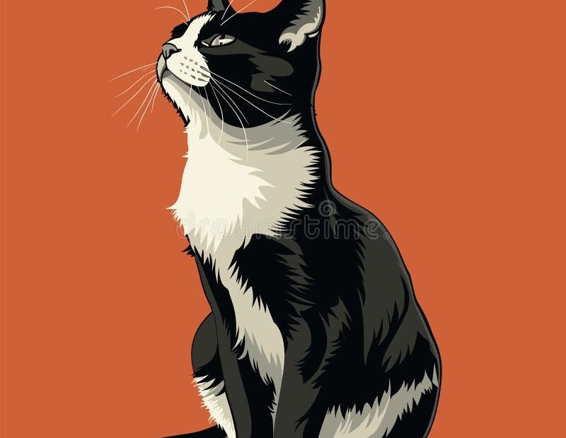 White Black Cat Stock Illustrations 208 409 White Black Cat