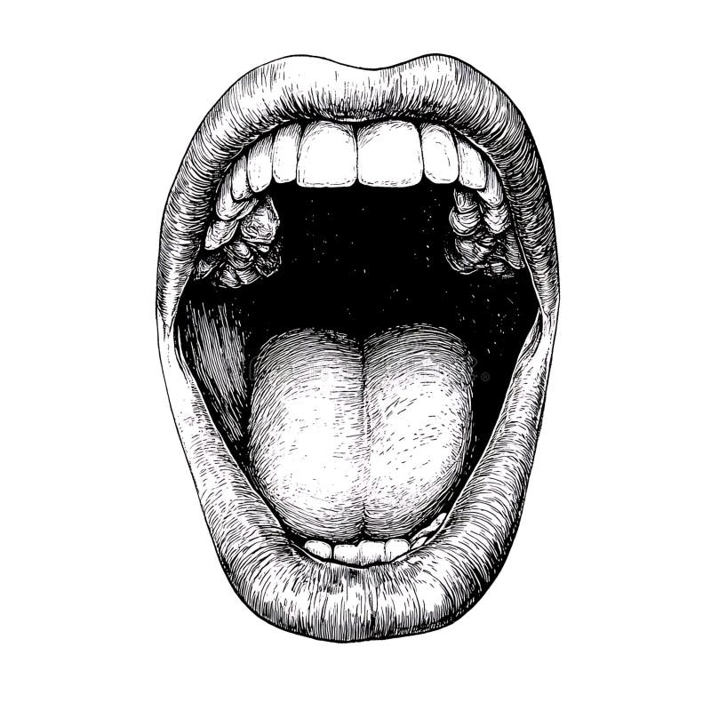 Wide Open Mouth Graphic Illustration Of A Mouth Wide Open Showing Teeth And Tongue Stock Illustration Illustration Of Anatomy White 354497836