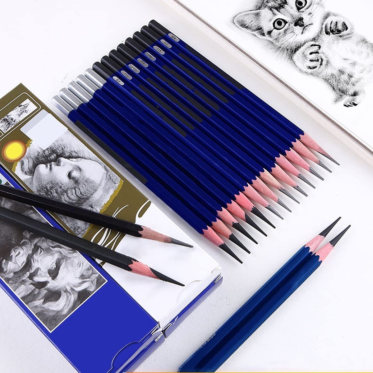 Wolpin Drawing Pencils Graphite Pencil For Fineart Artists Pack Of 12 Sketch Pencils HB B 2B 4B 6B 8B Fine Art Drawing Pencils For Artists 